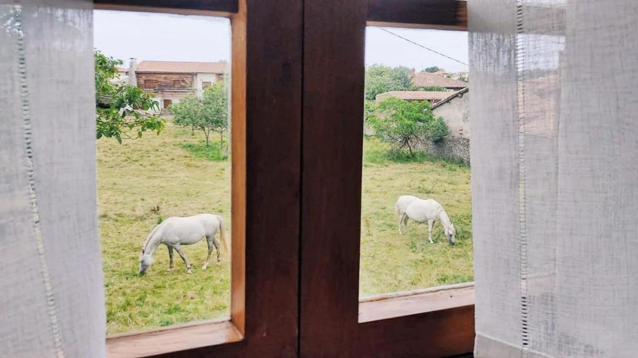 Casa Dolfin - "Tu Hogar En La Costa Del Paraiso" Guest House Naves  ภายนอก รูปภาพ