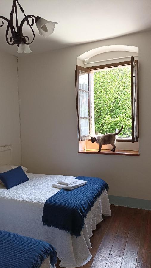 Casa Dolfin - "Tu Hogar En La Costa Del Paraiso" Guest House Naves  ภายนอก รูปภาพ